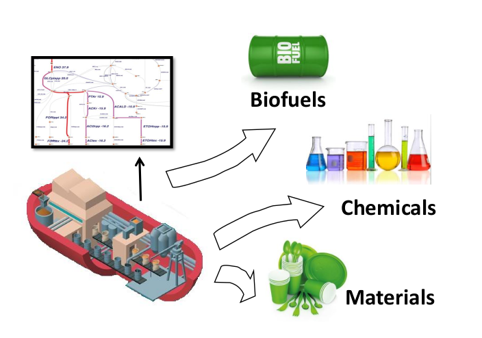 Metabolic engineering for sustainable bioproduction
